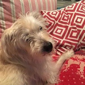 Meet your Posher, Kara